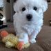 Karen Cloud - Facebook