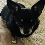 Karen Cloud Lane - @karenlane5715 - Instagram