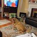 Karen Coady - Facebook