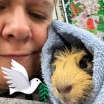 Karen Cogar - @lilkittytoebeans - Instagram