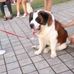 Karen Concha - Facebook