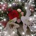 Karen Conroy - Facebook