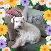 Karen Conroy - @karenconroy2 - TikTok