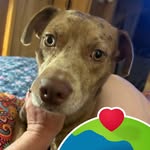 Karen Constance - @karenwallstrom - Instagram