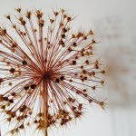 karen copper FLORIST - @alliumflorist - Instagram