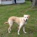Karen Coppock - Facebook