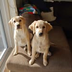 Karen Corner - @karen.corner.3 - Instagram