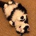 Karen Cornforth - Facebook