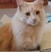 Karen Conrick - Facebook