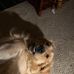 Cooper Rhonda Karen - Facebook