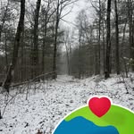 Karen Covert Miller - @mkkamiller - Instagram