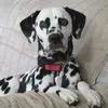 karencovert1 - @karencovert1 - TikTok