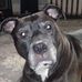 Karen Cragg - Facebook