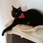 karen cragg - @kraftykaren2016 - Instagram