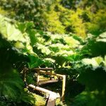 Karen Cragg - @kjcragg - Instagram