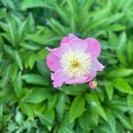 Karen Moran Cragg - @karencragg8187 - Instagram