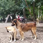 Karen Credo - @karen.credo.56 - Instagram