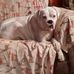 Karen Crotzer - Facebook