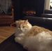 Karen Crowter - Facebook
