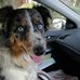 Karen Cryer - Facebook
