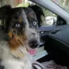 Karen Cryer - @karen.cryer5 - TikTok