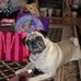 Karen Cubbage - Facebook