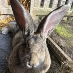 Karen Cull - @karenanncull - Instagram