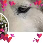 Karen Cullen - Facebook