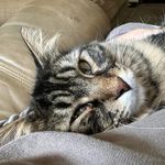 Karen Cully-Konye - @cullykonye - Instagram