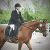 Karen Dameron - @karen.dameron - TikTok