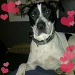 Karen Dammann - @kjdammann - Instagram