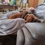Karen Danzer - @qqozn76224 - Instagram