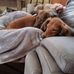 Karen Danzer - Facebook