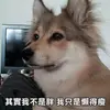 karen_datk - @karen_datk - TikTok
