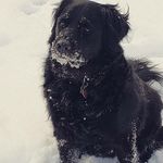 Karen  Dauer - @ksdauer - Instagram
