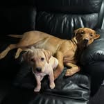 Karen Davidson - @karen.davidson3 - Instagram