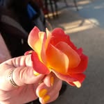 Karen Davy - @davy7451 - Instagram