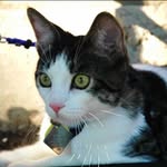 Karen Deckard Simpson - @ksimpson_1 - Instagram