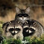 Karen Deeter - @karendeeter - Instagram