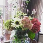 @karen.degroote - Instagram
