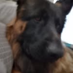 Karen de Groot - @oma.60degroot - Instagram