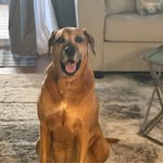 Karen Degroot Hunt - @degroothunt - Instagram