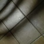 @karendegroote - Instagram