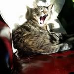 Karen Denkewalter - @karen_denkewalter - Instagram