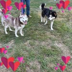 Karen Dever Nungester - @karen_4us - Instagram
