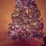 Karen Edwards- DeYoung - @karen.e.deyoung - Instagram