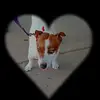 karendible@ - @karendibble14 - TikTok