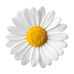 Karen Diggins - Facebook