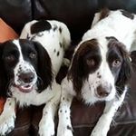 Karen Docherty - @docherty_karen - Instagram