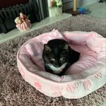 Karen Docherty - @karen.docherty.58511 - Instagram